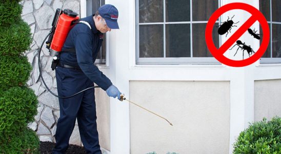 Keçiborlu Tahtakurusu İlaçlama böcek ilaçlama ve haşere kontrolü — ilaclama-tr.com